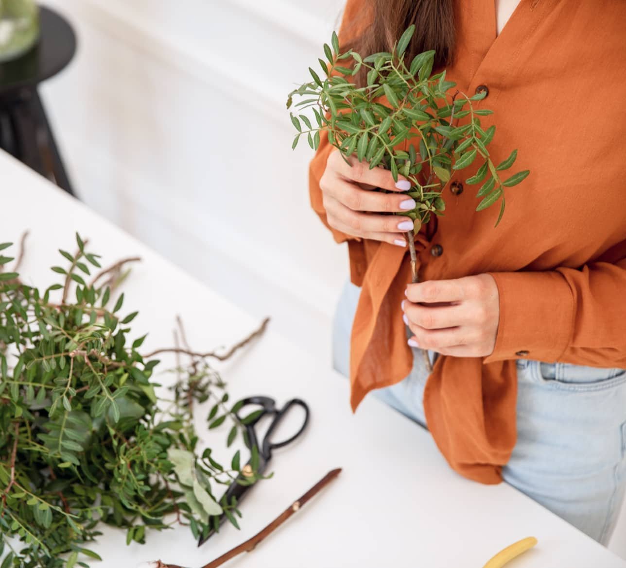 Creators & Influencers